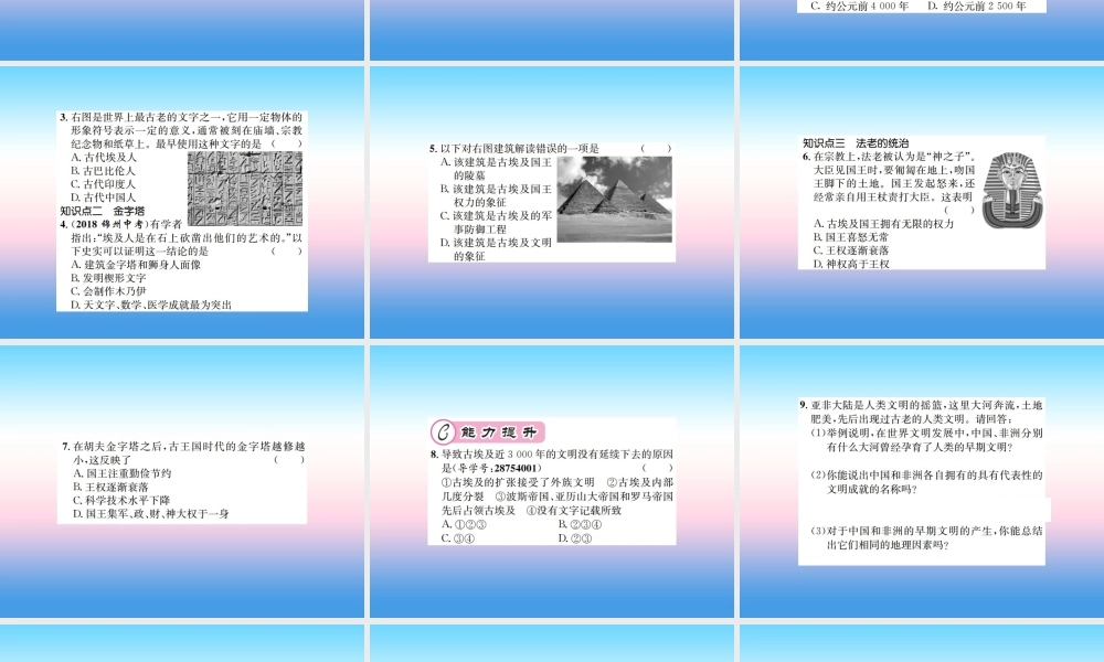 九年级历史上册 第1单元 古代亚非文明 第1课 古代埃及作业课件 新人教版 课件