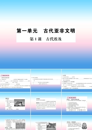 九年级历史上册 第1单元 古代亚非文明 第1课 古代埃及作业课件 新人教版 课件