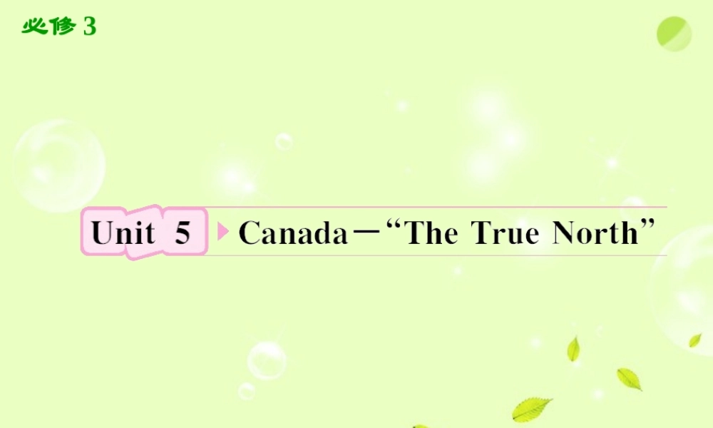 The True North课件 新人教版必修3 课件