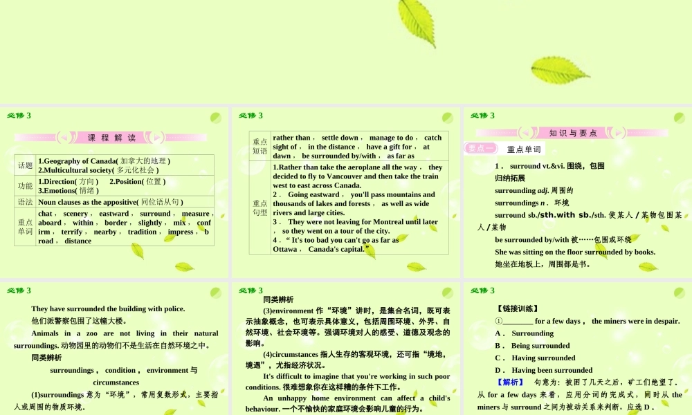 The True North课件 新人教版必修3 课件