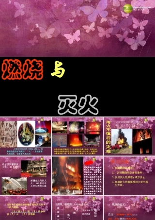 九年级化学上册 第七单元 燃料及其利用 课题1 燃烧与灭火课件 新人教版 课件