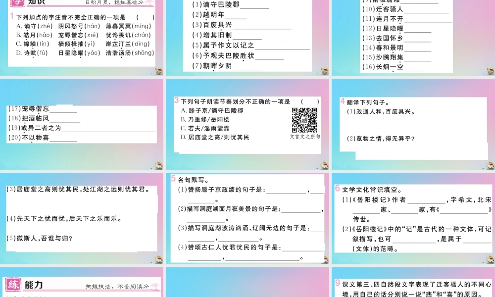 (贵州专版)九年级语文上册 第三单元 10 岳阳楼记作业课件 新人教版 课件