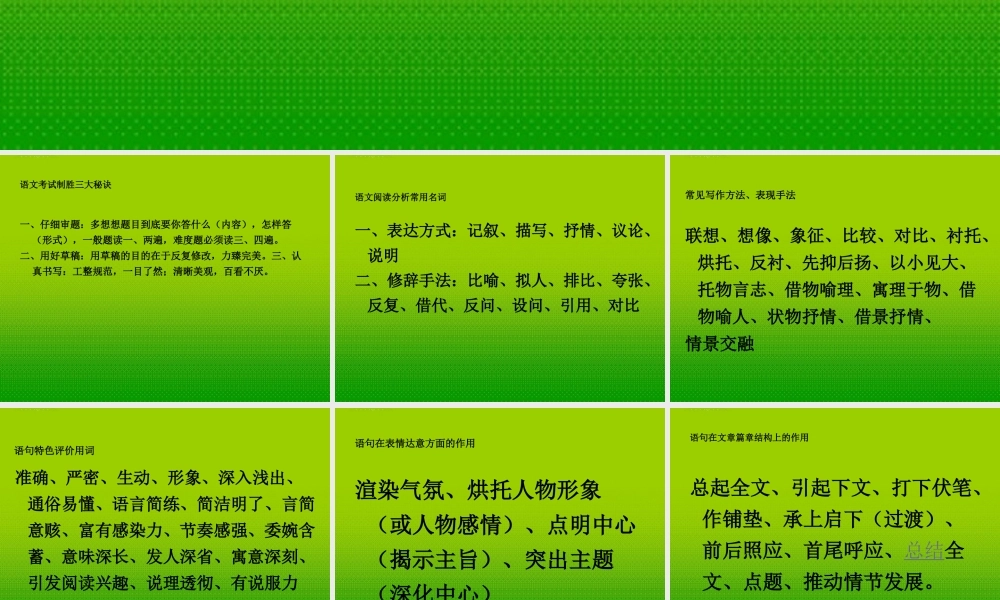 中考语文 现代文一轮基础复习课件