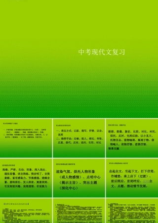 中考语文 现代文一轮基础复习课件