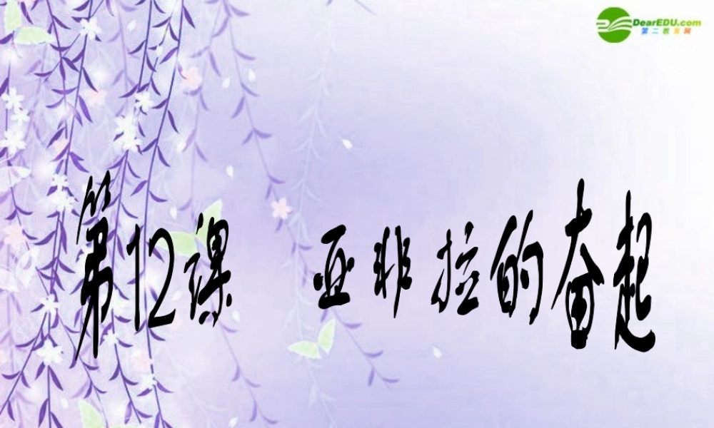 九年级历史下册 亚非拉的奋起课件 人教新课标版 课件