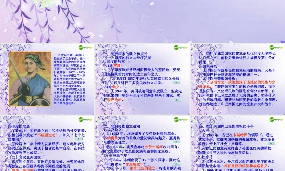 九年级历史下册 亚非拉的奋起课件 人教新课标版 课件