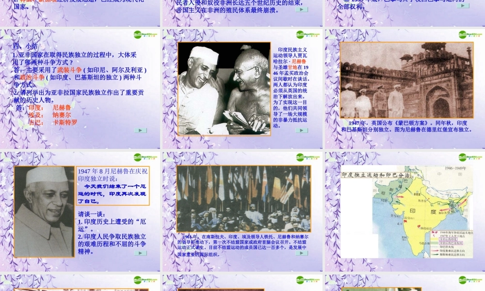 九年级历史下册 亚非拉的奋起课件 人教新课标版 课件