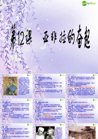 九年级历史下册 亚非拉的奋起课件 人教新课标版 课件