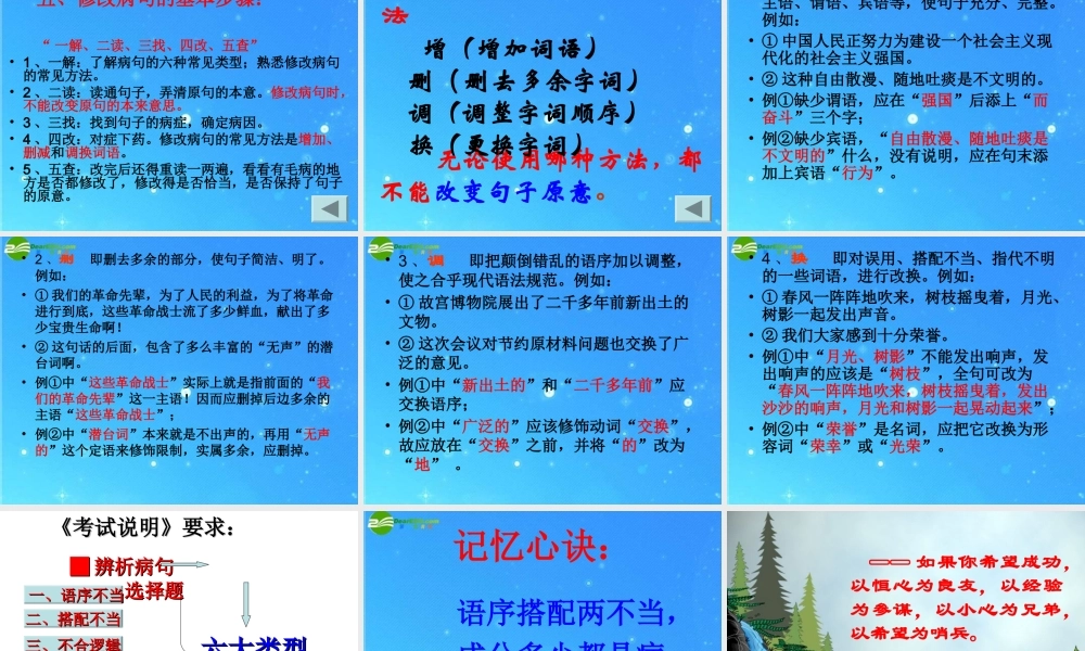 中考英语专项复习 (病句的辩析与修改)课件