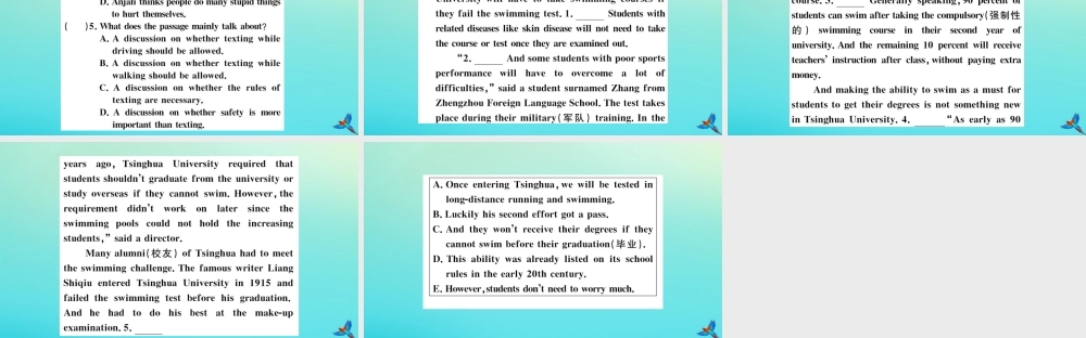 (河南专版)九年级英语全册 Unit 7 Teenagers should be allowed to choose their own clothes(第4课时)习题课件 (新版)人教新目标版 课件