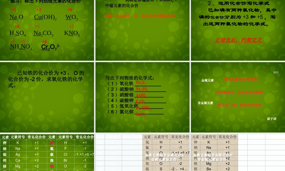 九年级化学上册 44 化合式与化学价课件 (新版)新人教版 课件