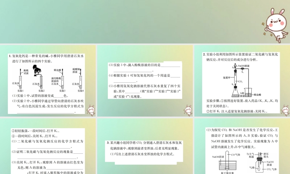 九年级化学下册 第十单元 酸和碱 实验专题(二)碱的化学性质习题课件 (新版)新人教版 课件