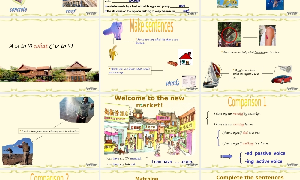 Unit3 language study 新课标 人教版 课件