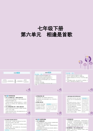 中考道德与法治总复习 七下 第六单元 相逢是首歌课件