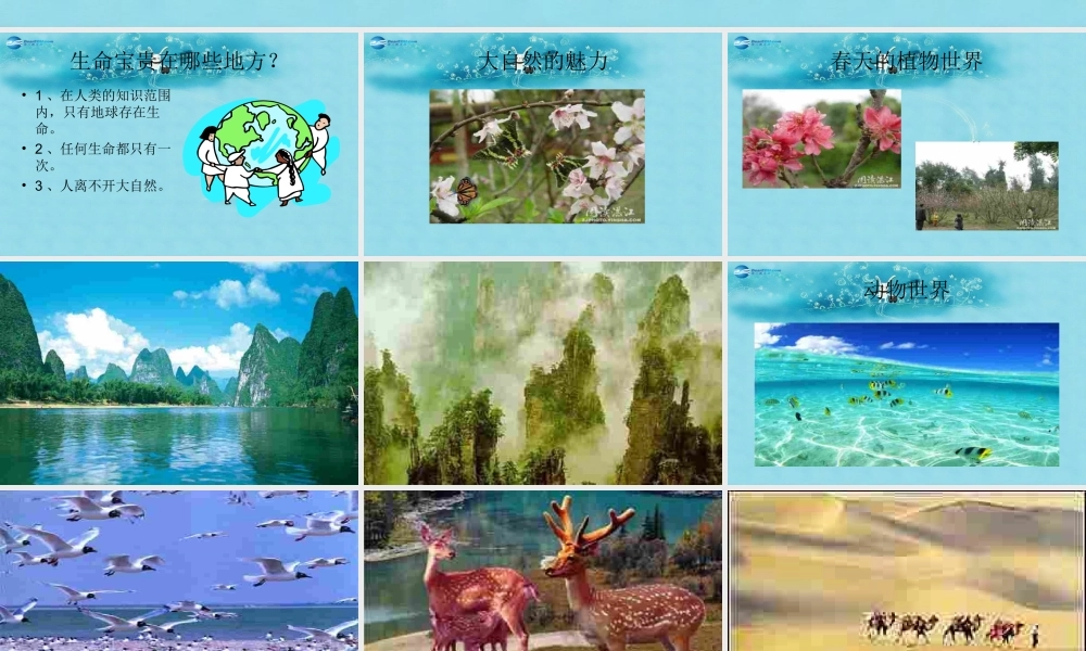 七年级政治下册 第五单元 第一课(珍爱生命(第1课时))课件 粤教版 课件