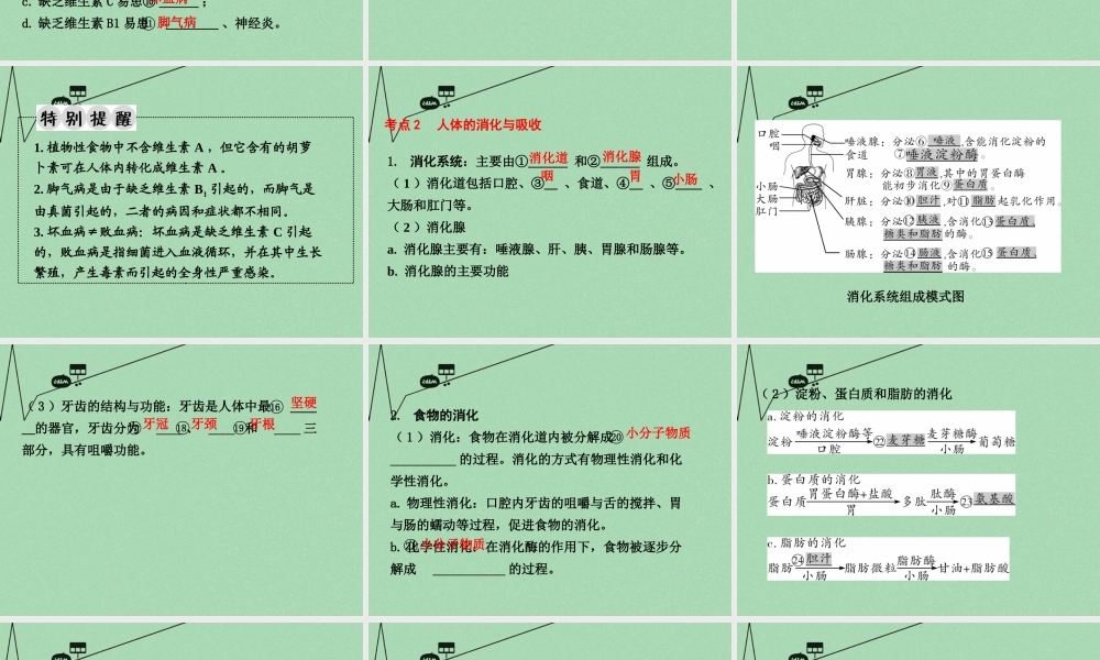 中考生物 第一部分 教材知识梳理 第4单元 第9章 人的食物来自环境复习课件 苏教版 课件