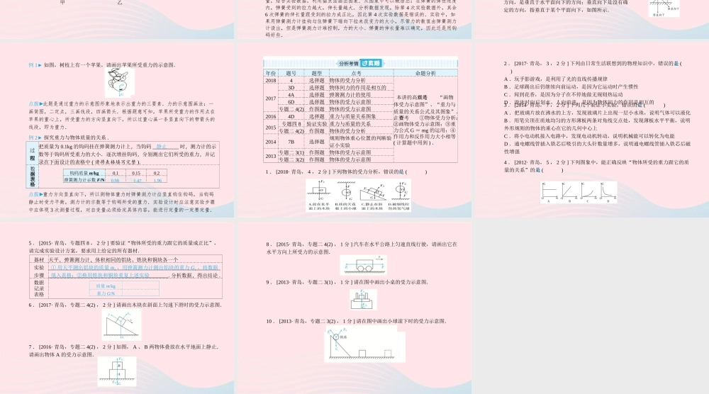 中考物理总复习 八下 第7讲 力课件