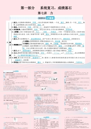 中考物理总复习 八下 第7讲 力课件