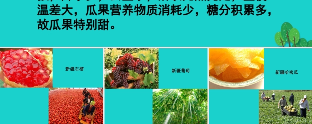 七年级地理上册 第三章 第二节 气温和降水 讨论 新疆的瓜果课件 中图版 课件