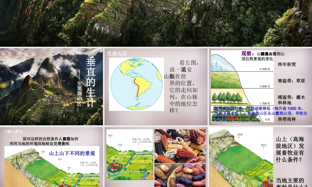 七年级历史与社会上册 第三单元 第2课 第1框(垂直的生计)课件 人教版 课件