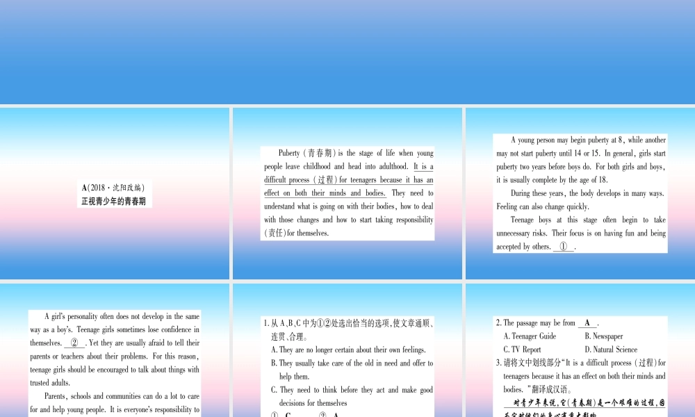 中考英语准点备考 专题精练十四 任务型阅读课件