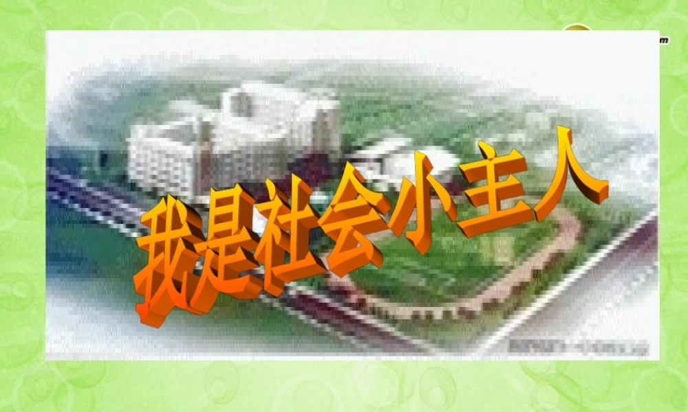 七年级历史与社会下册 综合探究五我是社会小主人课件 人教版 课件