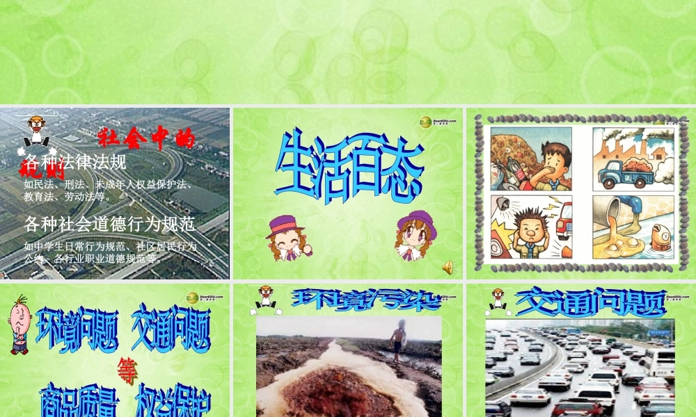 七年级历史与社会下册 综合探究五我是社会小主人课件 人教版 课件