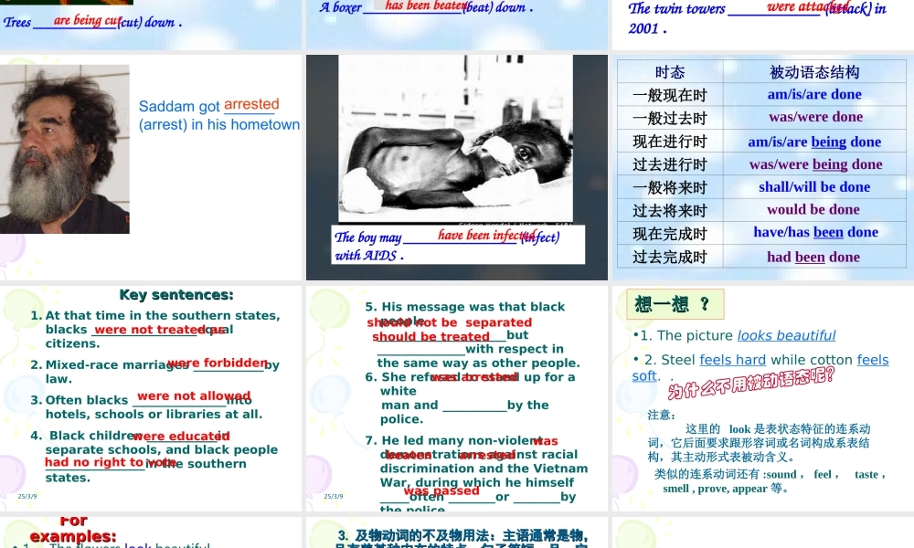 Unit 14 The fourth period-grammar Unit14 Freedom fighters全单元课件 新课标 人教版 Unit14 Freedom fighters全单元课件 新课标 人教版