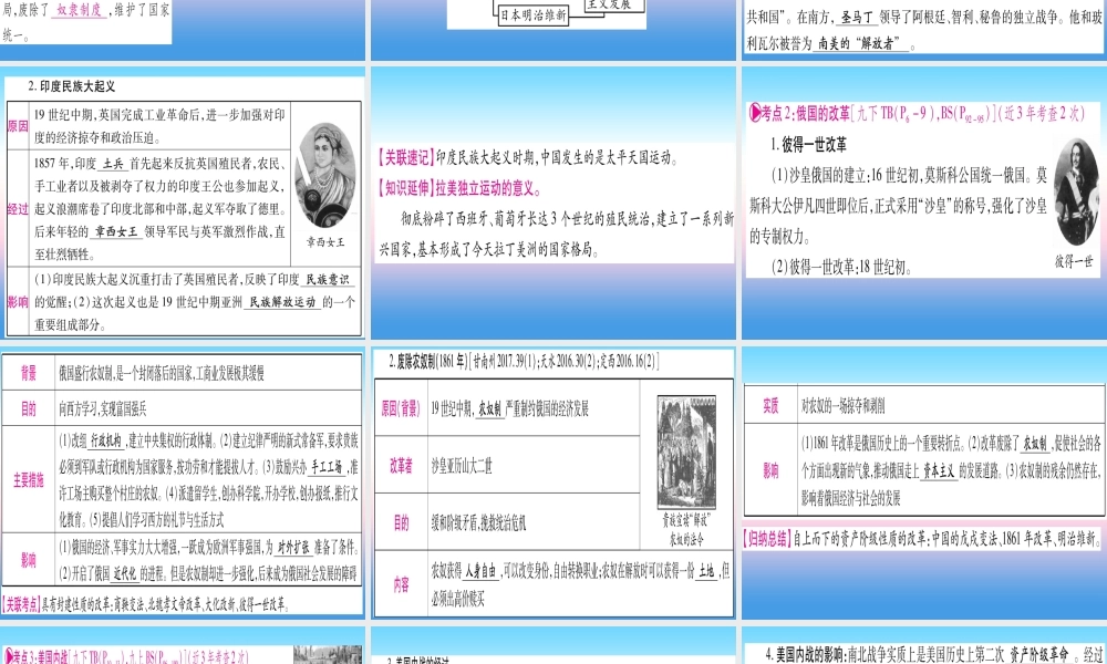 (甘肃专用)中考历史总复习 第一篇 考点系统复习 板块五 世界近代史 主题四 殖民地人民的反抗与资本主义制度的扩展(精讲)课件