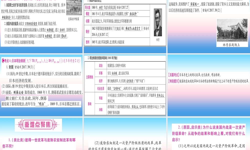 (甘肃专用)中考历史总复习 第一篇 考点系统复习 板块五 世界近代史 主题四 殖民地人民的反抗与资本主义制度的扩展(精讲)课件