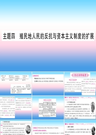 (甘肃专用)中考历史总复习 第一篇 考点系统复习 板块五 世界近代史 主题四 殖民地人民的反抗与资本主义制度的扩展(精讲)课件