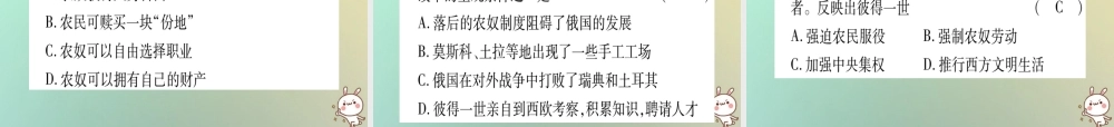 九年级历史上册 第6单元 资本主义制度的扩张 第21课 沙皇俄国的改革课件 中华书局版 课件