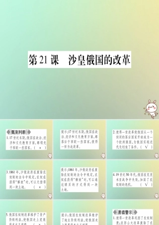 九年级历史上册 第6单元 资本主义制度的扩张 第21课 沙皇俄国的改革课件 中华书局版 课件