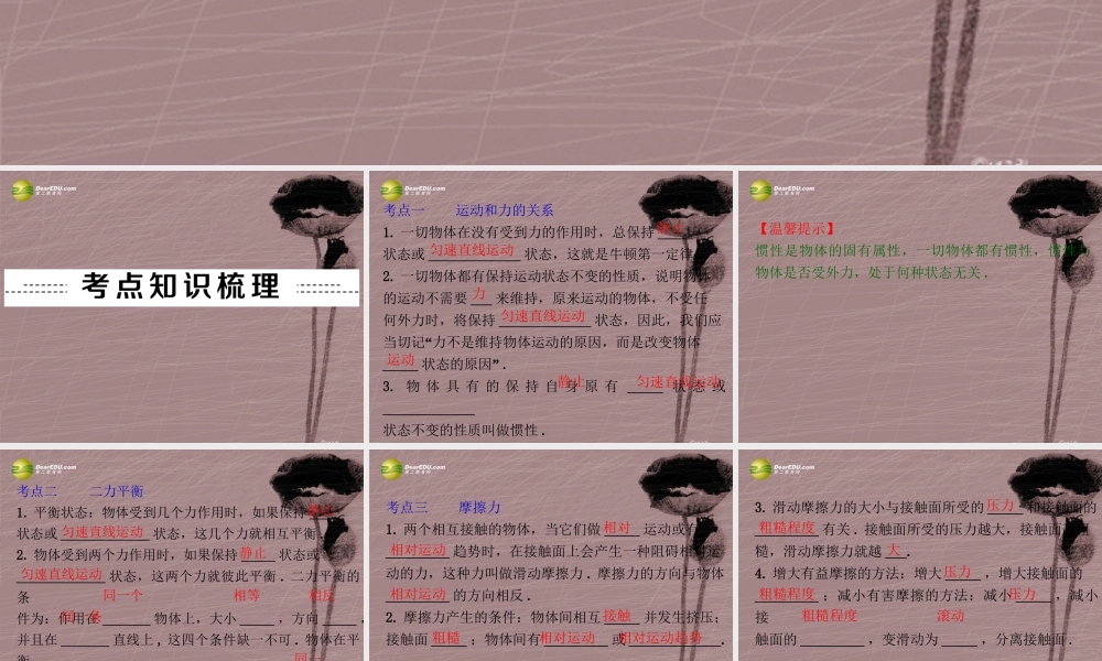 中考物理二轮复习 第10讲 运动和力课件