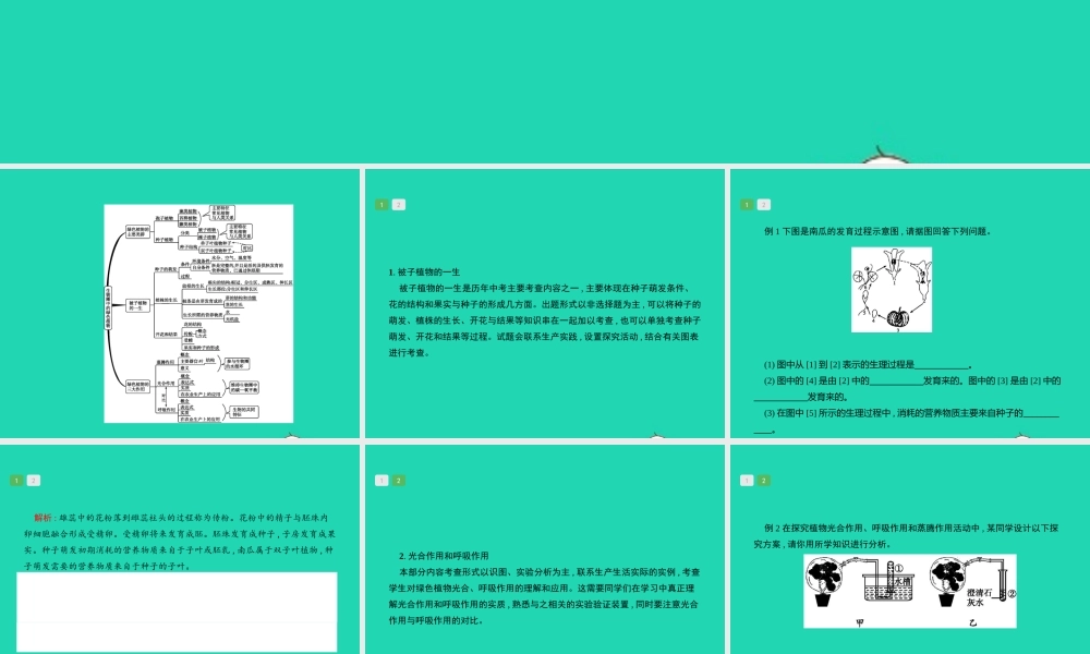 中考生物 专题3 生物圈中的绿色植物课件