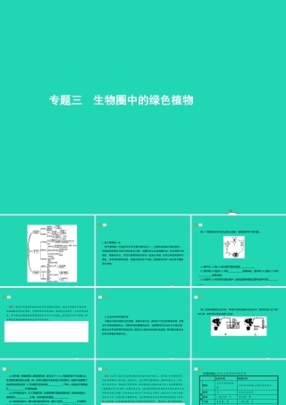 中考生物 专题3 生物圈中的绿色植物课件