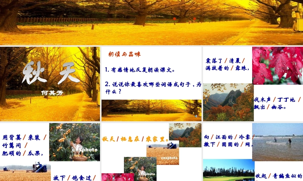 (秋天)课件3 七年级语文上册第三单元(秋天)课件8套人教版