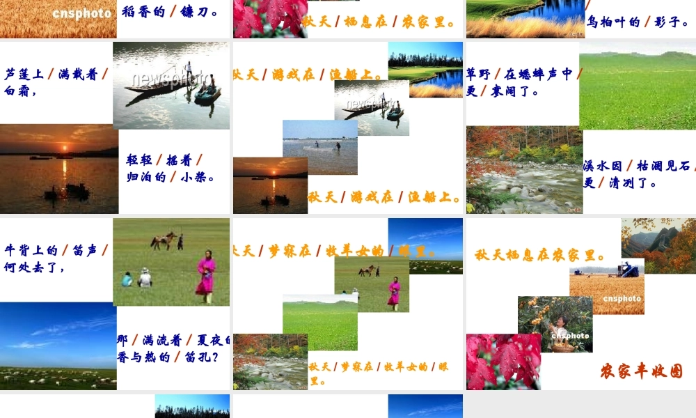 (秋天)课件3 七年级语文上册第三单元(秋天)课件8套人教版