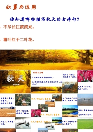 (秋天)课件3 七年级语文上册第三单元(秋天)课件8套人教版