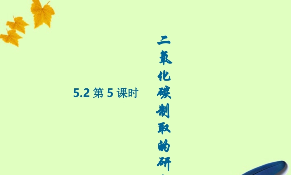 九年级化学525二氧化碳的制法课件 鲁教版 课件