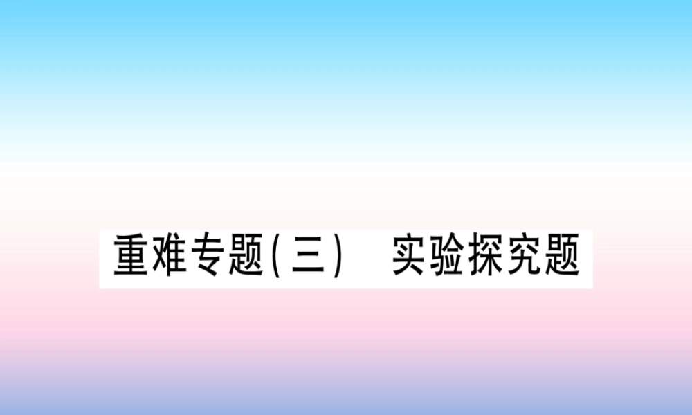 (甘肃专用)中考化学 重难点专题(三)实验探究题(提分精练)课件