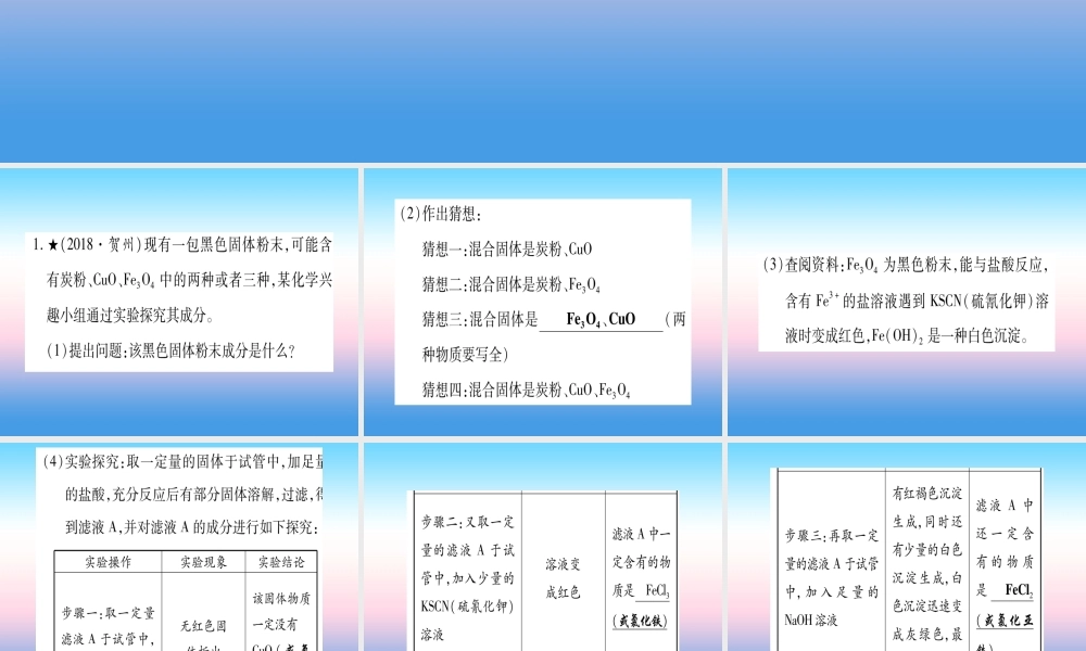 (甘肃专用)中考化学 重难点专题(三)实验探究题(提分精练)课件