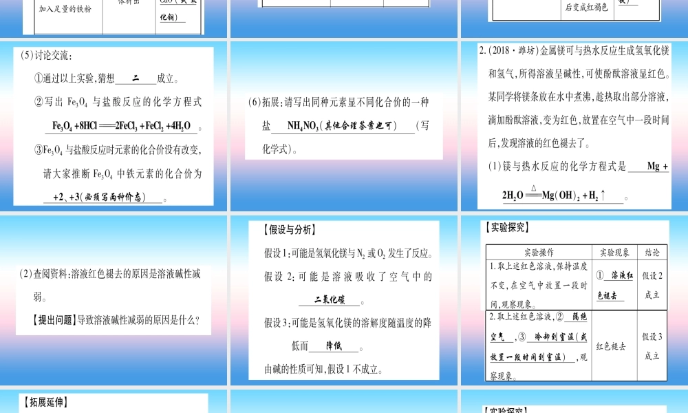 (甘肃专用)中考化学 重难点专题(三)实验探究题(提分精练)课件