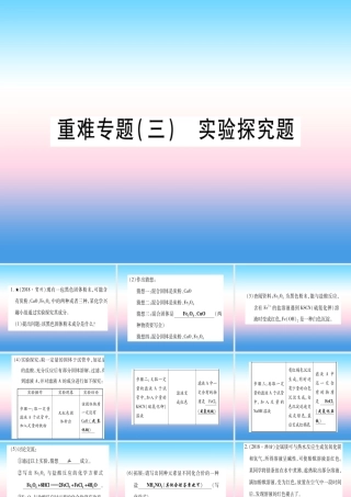 (甘肃专用)中考化学 重难点专题(三)实验探究题(提分精练)课件