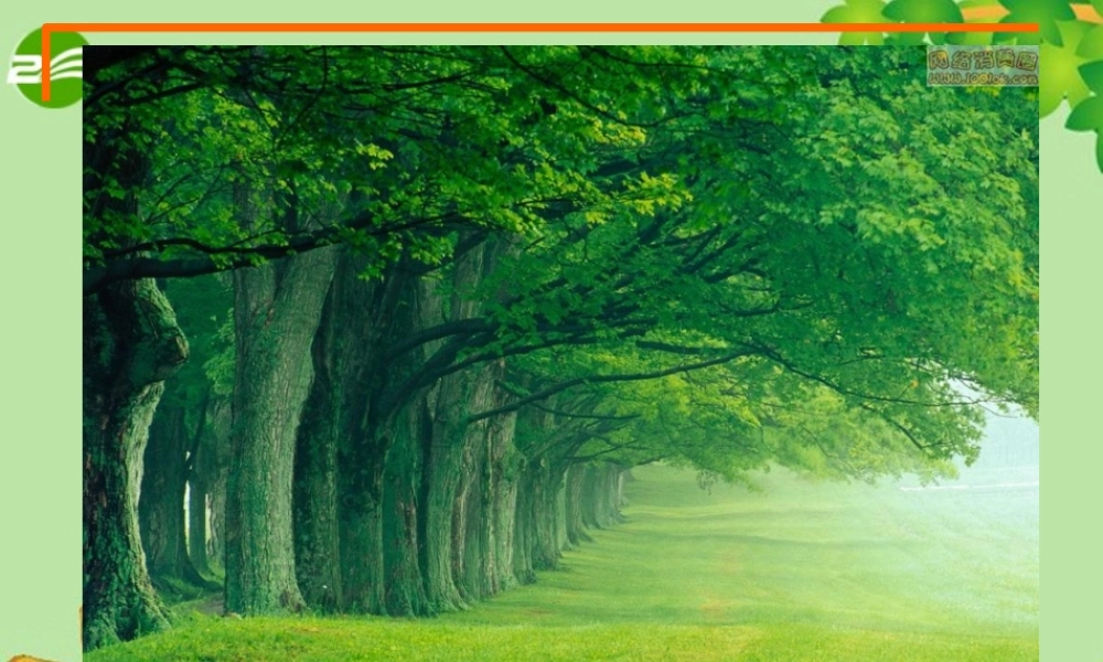 1 七年级生物上册 第二单元 第一节 细胞的分裂与分化课件 苏教版