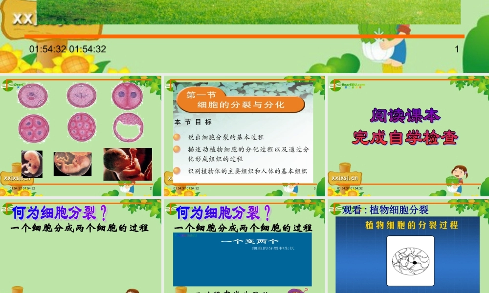 1 七年级生物上册 第二单元 第一节 细胞的分裂与分化课件 苏教版