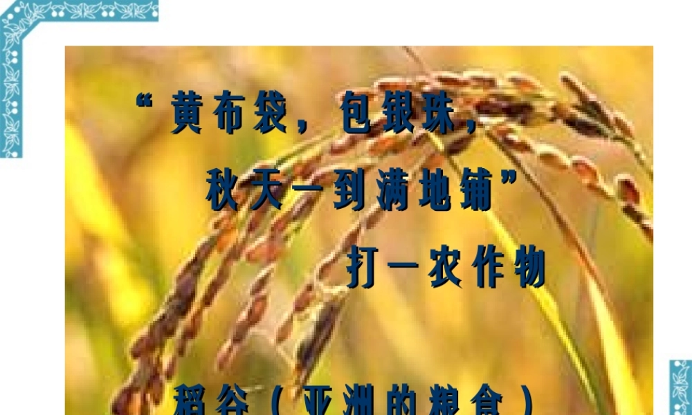 七年级历史家住平原课件 人教版 课件