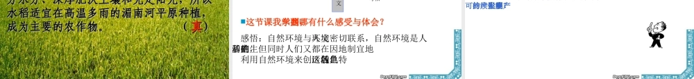七年级历史家住平原课件 人教版 课件