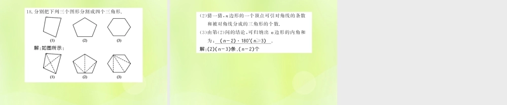 七年级数学上册 第4章 图形的初步认识 4.4 平面图形习题课件 (新版)华东师大版 课件