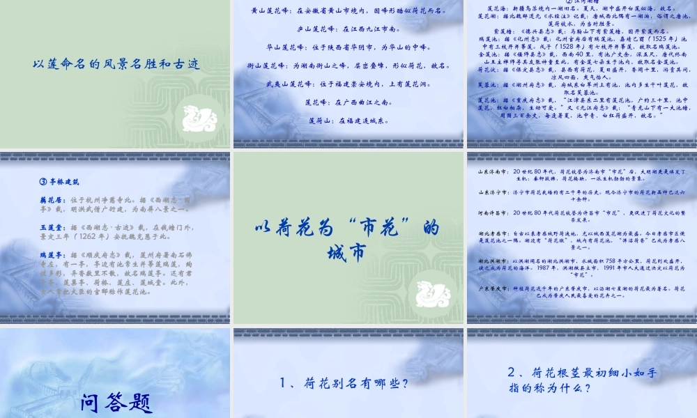 (莲文化的魅力)课件2 八年级语文上册第五单元(综合性学习莲文化的魅力)课件7套人教版 八年级语文上册第五单元(综合性学习莲文化的魅力)课件7套人教版